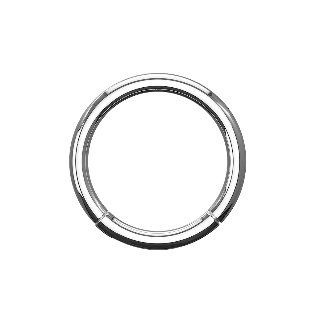 Hoop ring Implant Grade Titanium Hinged Segment Rings good for any piercings Ear nose nipple and mor